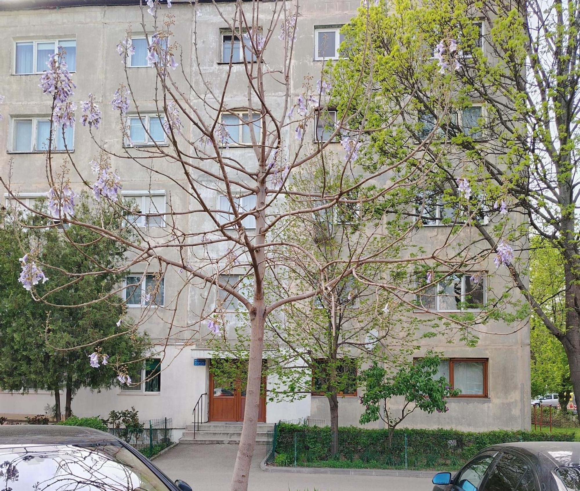 קריובה Arka Apartment מראה חיצוני תמונה